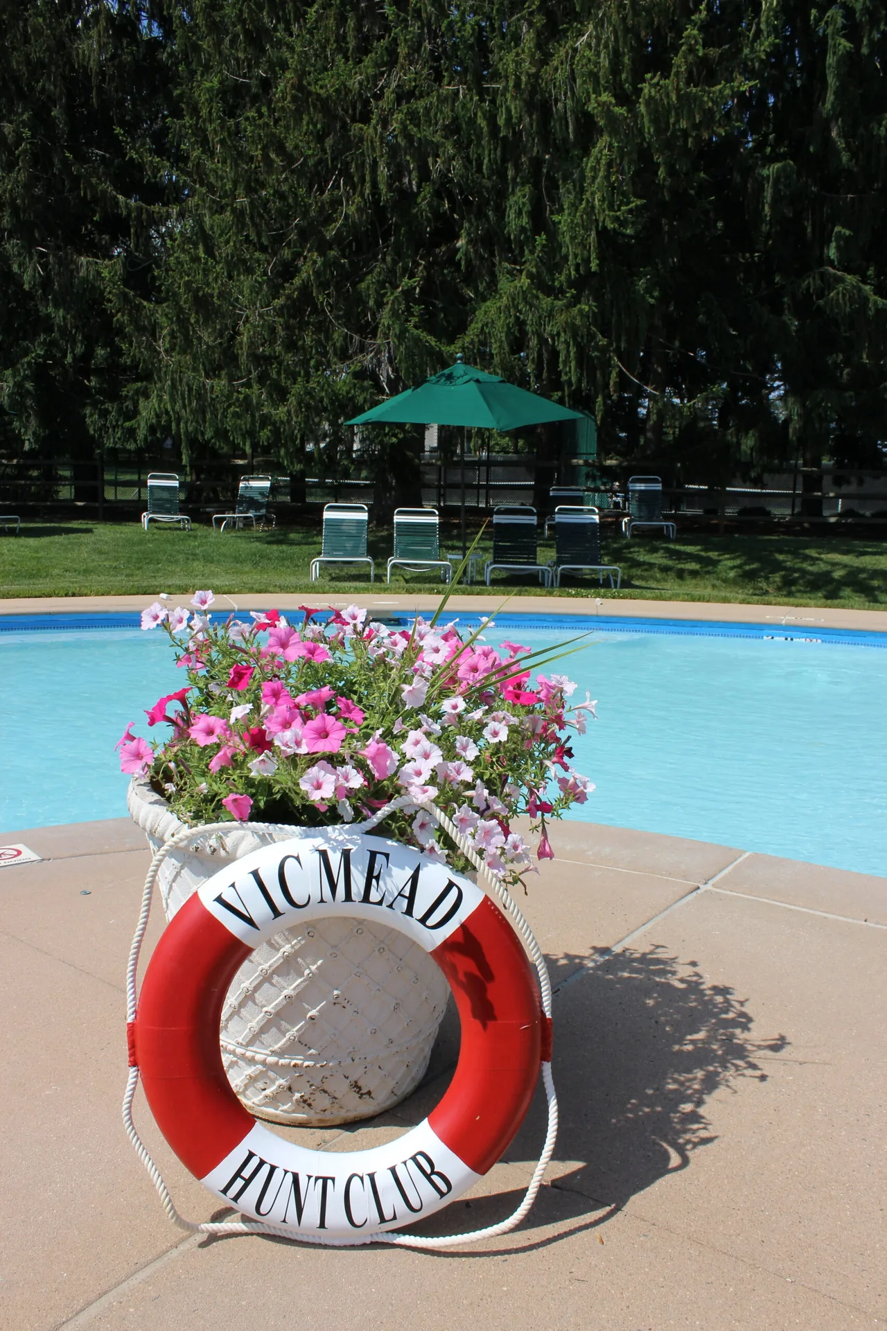 Vicmead pool